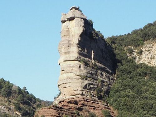 Morro de l'Abella (Collsacabra - Osona - Barcelona)