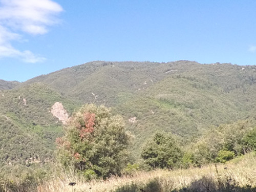 Sant Benet